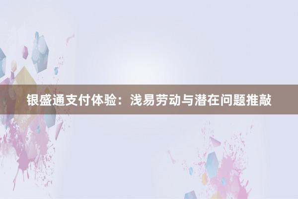 银盛通支付体验：浅易劳动与潜在问题推敲